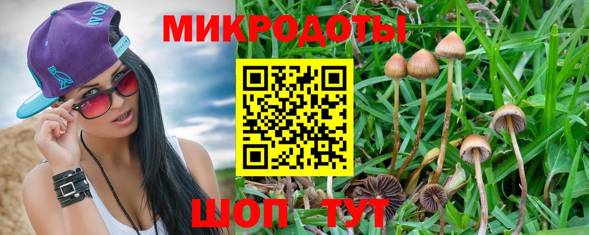 Галлюциногенные грибы мицелий Ульяновск