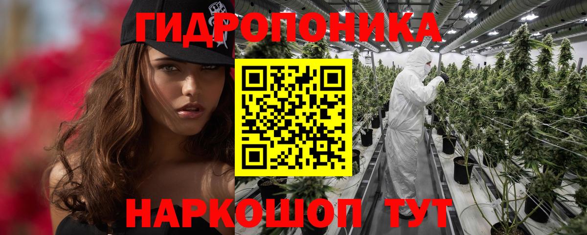 Бошки марихуана индика  Вход с VPN  МАРИХУАНА гибрид  Бошки Шишки Bruce Banner  Ульяновск 
